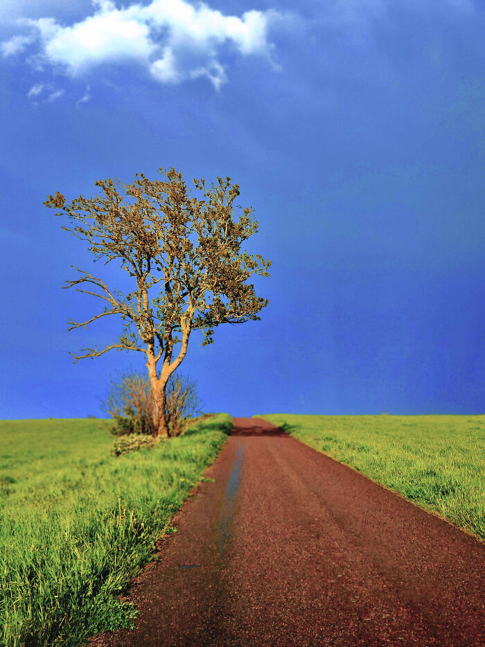 A solitary tree next to a long, empty dirt road under a vast sky forms an unsettling liminal space. The scene descends into the abyss.