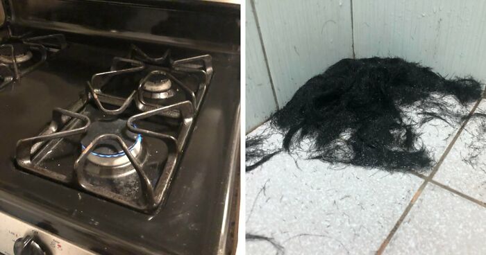 64 Horrible Roommates Who Somehow Passed The Vibe Check Before Move-In Day And Failed Soon After