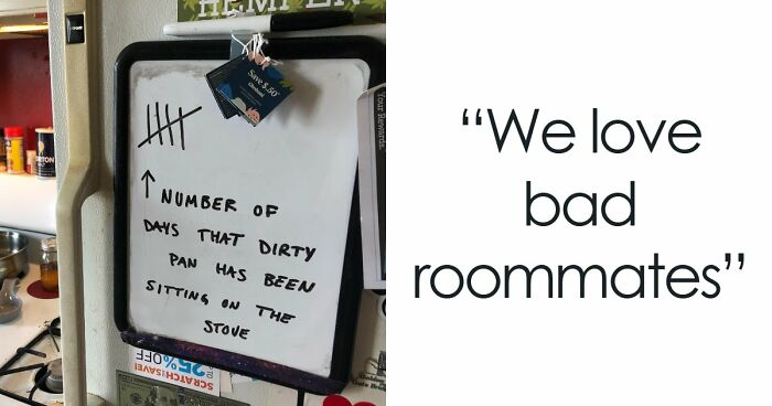 64 Horrible Roommates Who Somehow Passed The Vibe Check Before Move-In Day And Failed Soon After