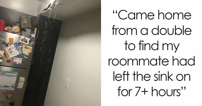 64 Horrible Roommates Who Somehow Passed The Vibe Check Before Move-In Day And Failed Soon After