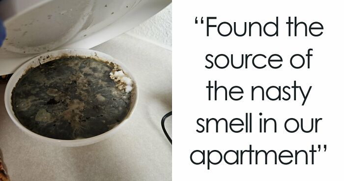 64 Horrible Roommates Who Somehow Passed The Vibe Check Before Move-In Day And Failed Soon After
