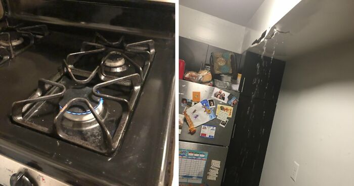 64 Horrible Roommates Who Somehow Passed The Vibe Check Before Move-In Day And Failed Soon After