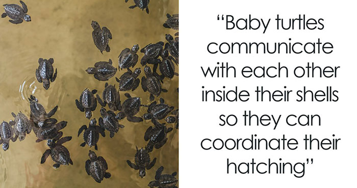 79 Cool, Interesting And Surprising Facts People Love Sharing Any Chance They Get