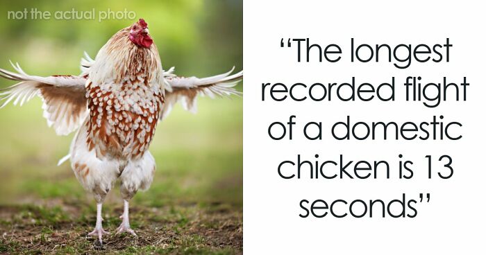 79 Cool, Interesting And Surprising Facts People Love Sharing Any Chance They Get