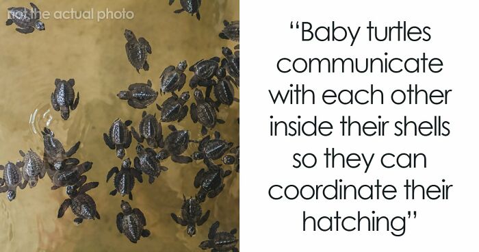 79 Cool, Interesting And Surprising Facts People Love Sharing Any Chance They Get