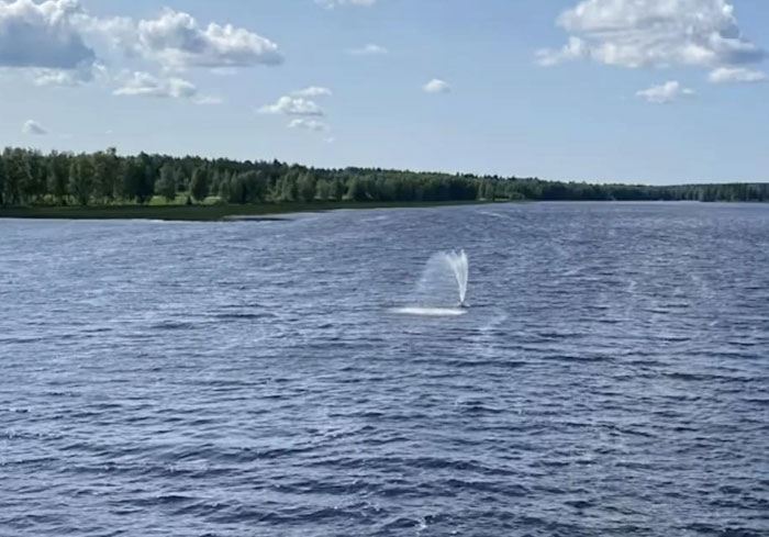 Ugly monument water fountain in the middle of a lake with surrounding trees under blue sky