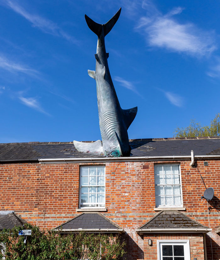 Large shark statue crashing through the roof of a brick house on a sunny day