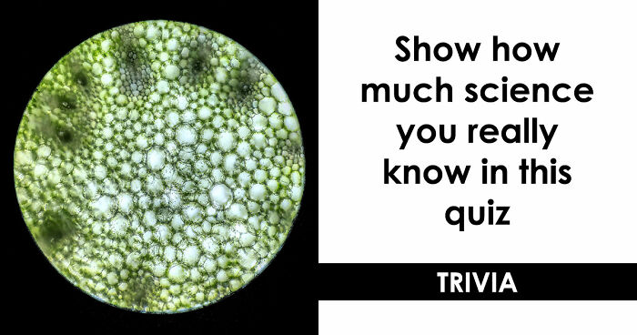 “Are You A Lab Rat?”: Challenge Your Mind With These 20 Science Questions