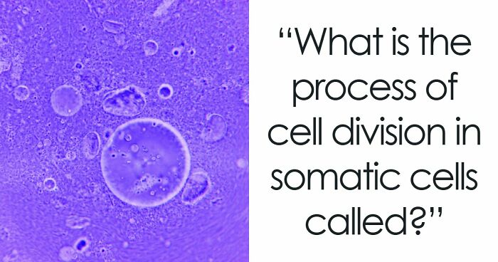 “Are You A Lab Rat?”: Challenge Your Mind With These 20 Science Questions