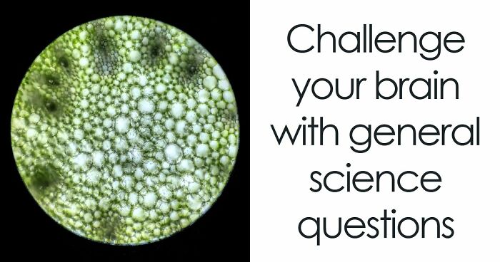 “Are You A Lab Rat?”: Challenge Your Mind With These 20 Science Questions