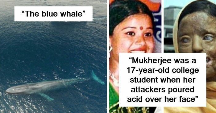 33 Creepy Photos That People Can’t Believe Someone Took