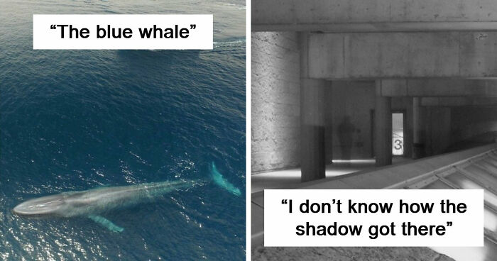 33 Creepy Photos That People Can’t Believe Someone Took