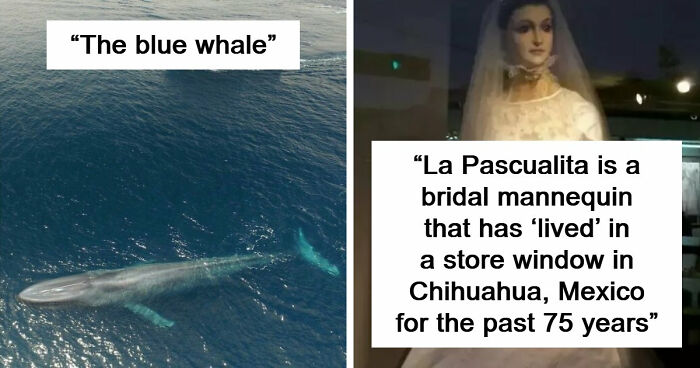 33 Creepy Photos That People Can’t Believe Someone Took