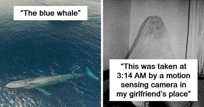 33 Creepy Photos That People Can’t Believe Someone Took
