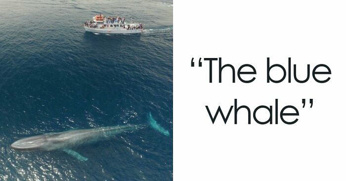 33 Creepy Photos That People Can’t Believe Someone Took