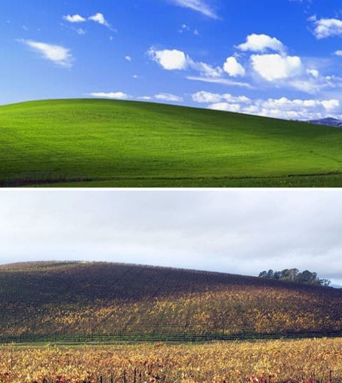 Famous creepy photo of grassy hill under blue sky and a brown hillside below