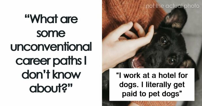 Looking For An Unconventional Way To Earn Money? You Might Find It In One Of These 80 Strange Jobs