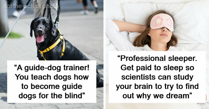 Looking For An Unconventional Way To Earn Money? You Might Find It In One Of These 80 Strange Jobs