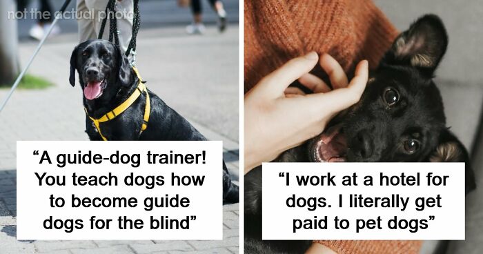 Looking For An Unconventional Way To Earn Money? You Might Find It In One Of These 80 Strange Jobs