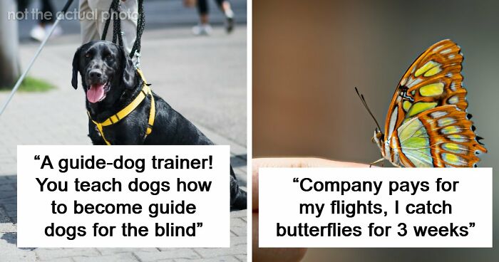 Looking For An Unconventional Way To Earn Money? You Might Find It In One Of These 80 Strange Jobs