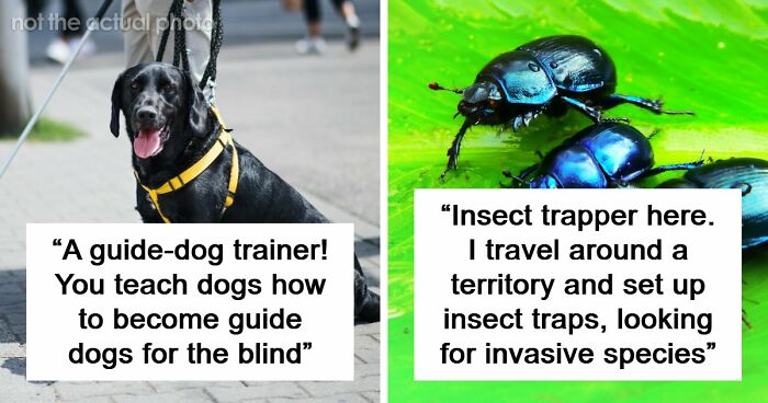 Looking For An Unconventional Way To Earn Money? You Might Find It In One Of These 80 Strange Jobs