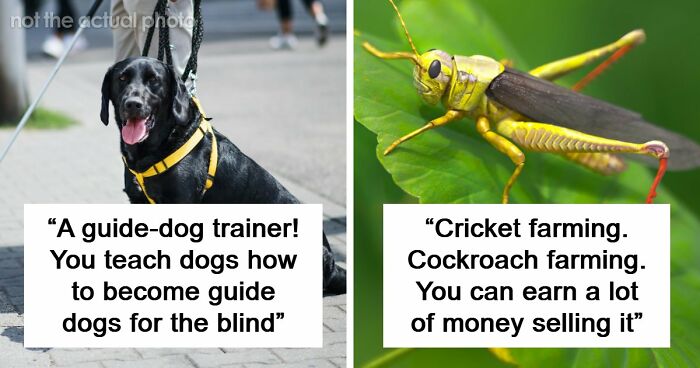 Looking For An Unconventional Way To Earn Money? You Might Find It In One Of These 80 Strange Jobs