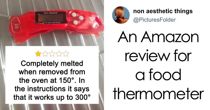 76 Online Reviews That Have No Business Being So Funny