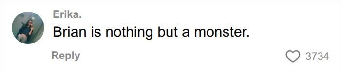 Social media comment calling Brian a monster