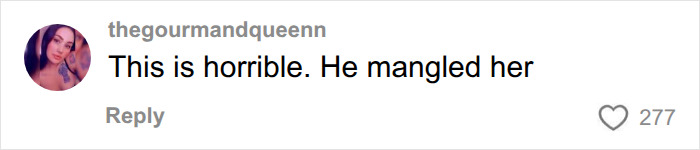 Comment describing the gruesome nature of Bryan Kohberger autopsy findings