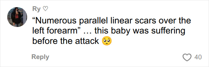 Viewer reaction to scars indicating suffering before attack in Bryan Kohberger victims