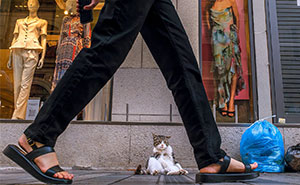 80 Street Photos By Dan Morris That Capture Cities From Perspectives Most People Miss