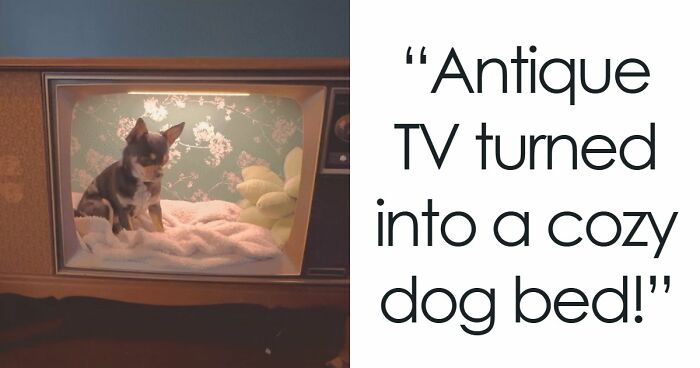 “My Husband Hates It”: 85 Unexpected Things People Made Out Of Things That Would’ve Been Thrown Away (New Pics)