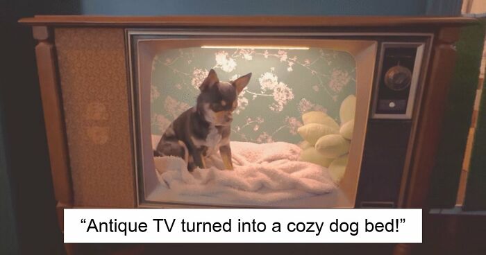 “My Husband Hates It”: 85 Unexpected Things People Made Out Of Things That Would’ve Been Thrown Away (New Pics)