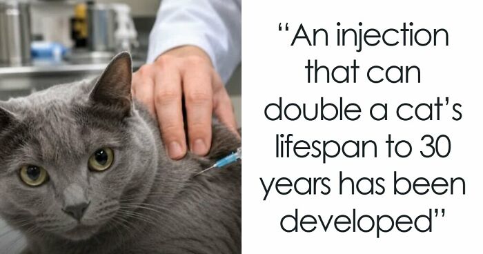 67 Amazing And Uplifting Pics From The “Wholesome Meets The Internet” Page (New Pics)