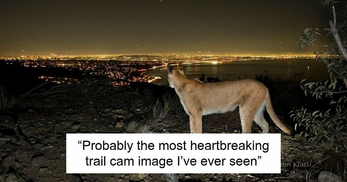 64 Scary Photos That Prove We’re Currently Living In An Urban Hell