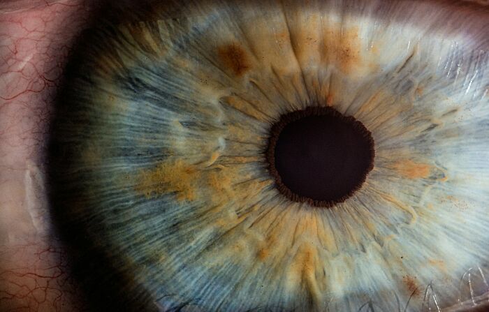 Extreme close-up of eye iris with intricate colors and patterns