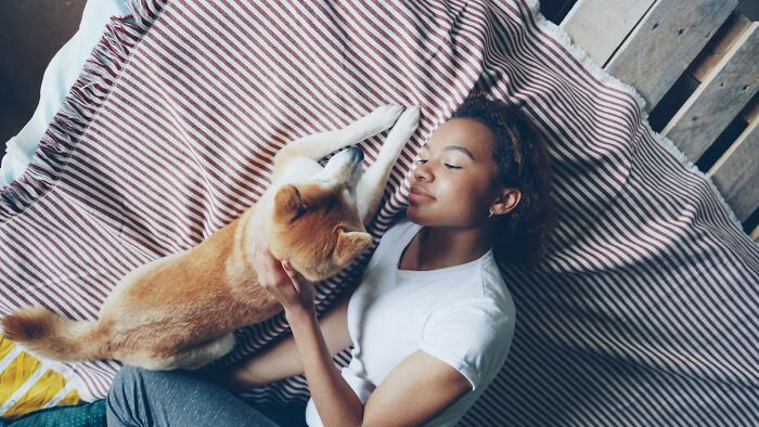 Woman cuddling dog on striped blanket linked to shocking phone secrets