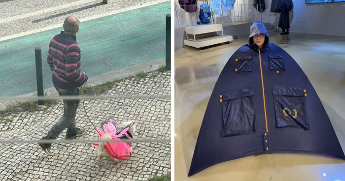 37 Images So Bizarre They Raised More Questions Than The Internet Can Handle