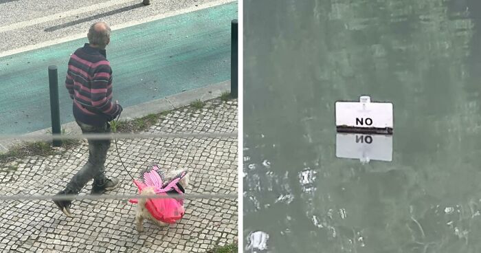 37 Images So Bizarre They Raised More Questions Than The Internet Can Handle