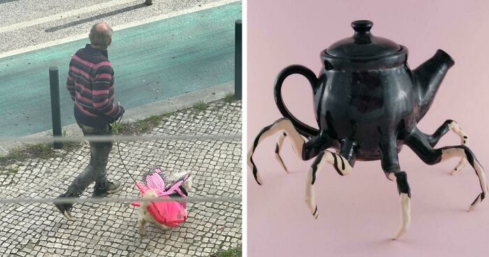 37 Images So Bizarre They Raised More Questions Than The Internet Can Handle