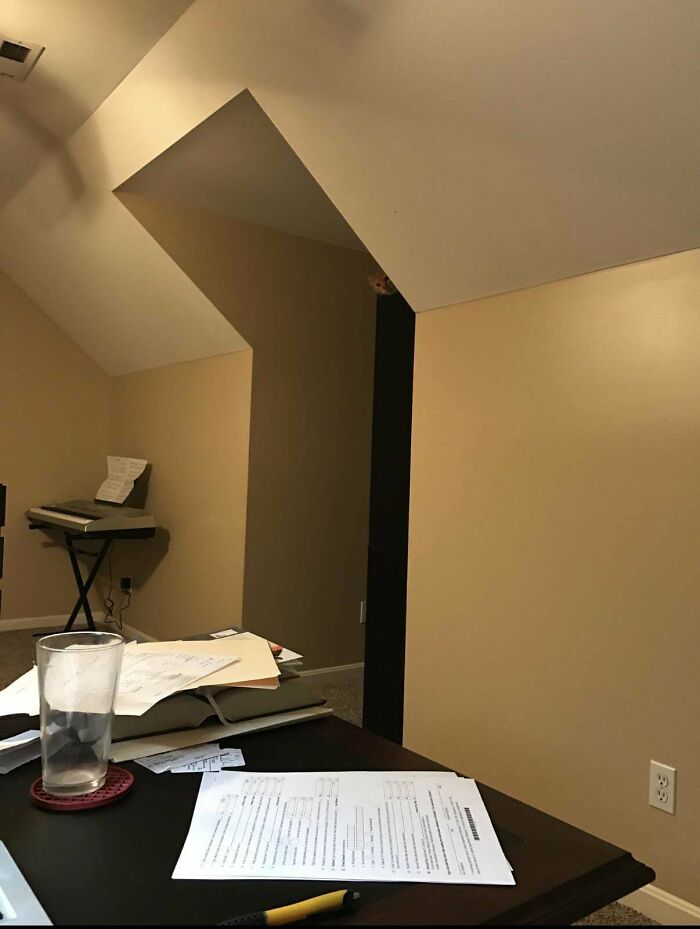 Room with papers on table and hidden cat peeking from ceiling corner for online detectives