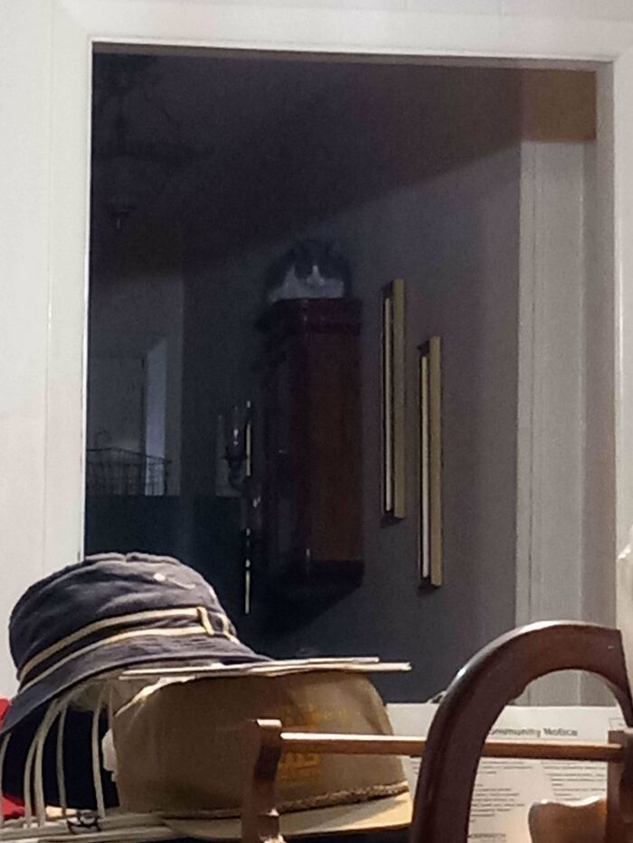 Cat hidden in dark room sitting on top of wooden cabinet
