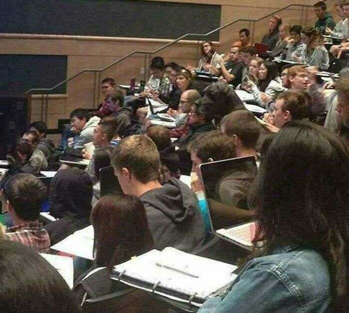 Crowded lecture hall with students and a large dog sitting among them