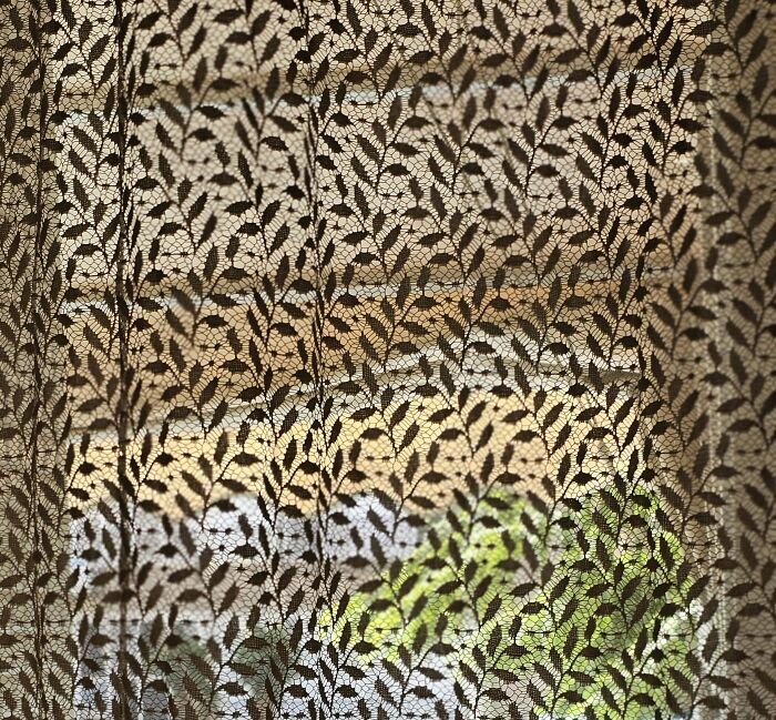 Lace curtain with leaf pattern partially obscuring a window view