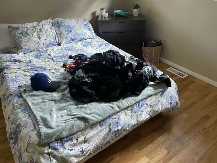 Black cat camouflaged on a bed amid dark clothes and patterned sheets