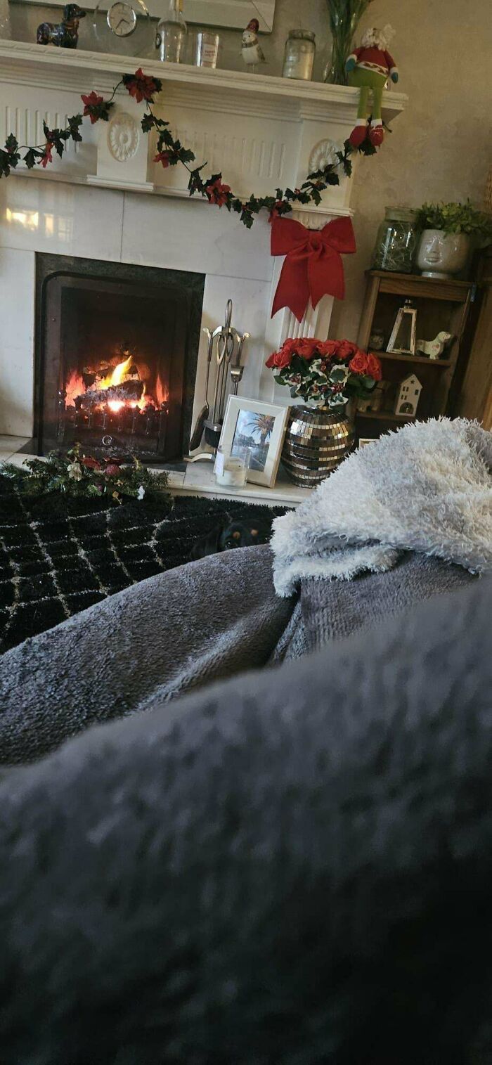 Cozy living room with Christmas decorations and hidden dog in the shadows