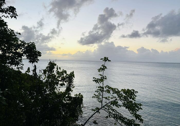 Ocean view at sunset with silhouetted trees and cloudy sky