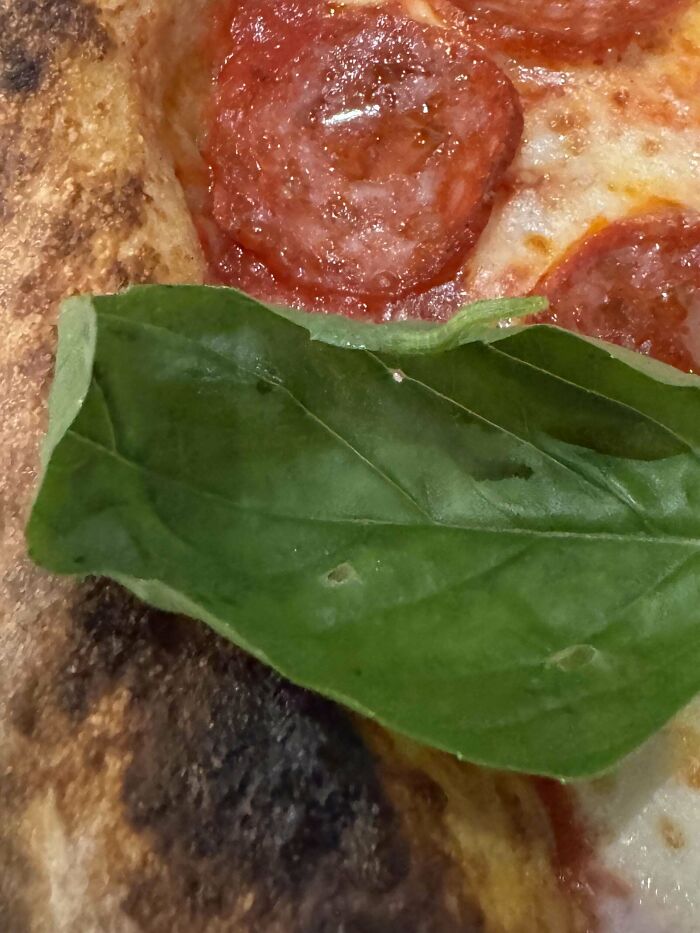 Close up of pepperoni pizza slice with fresh basil leaf on crust