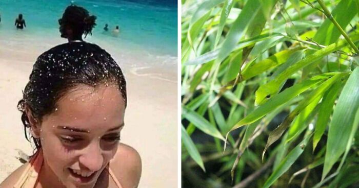 71 Amateur And Veteran Online Detectives Are Sharing Photos With Hidden Details (New Pics)