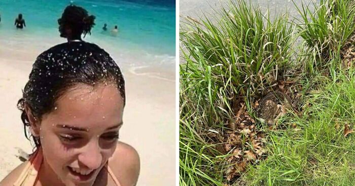 71 Amateur And Veteran Online Detectives Are Sharing Photos With Hidden Details (New Pics)